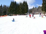 めがひらスキー場の写真4