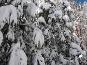 ユートピアサイオトの写真4