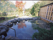 五箇山温泉 五箇山荘の写真3