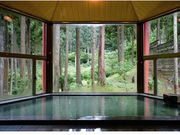 美山森林温泉 みらくる亭の写真2