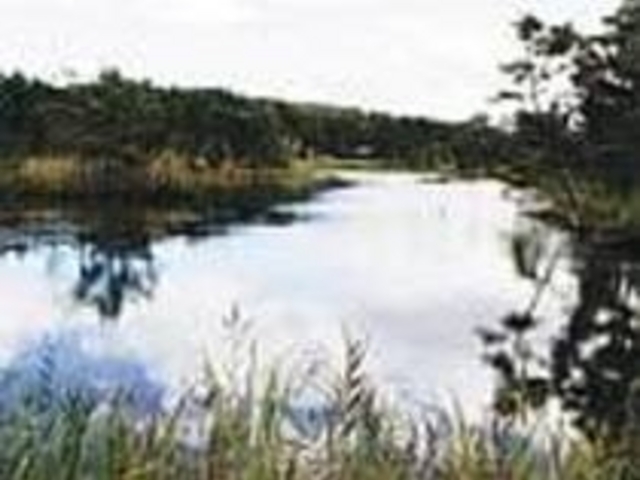 いこいの広場には千鳥ヶ池や潮見が丘がある_大洲公園