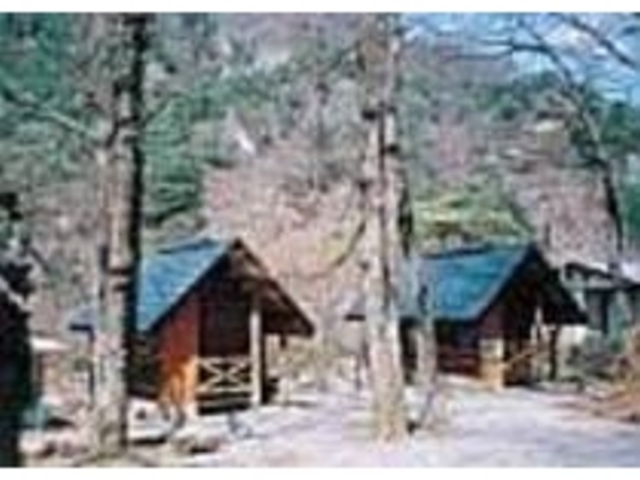 森の中で涼風を感じながら楽しいキャンプを_矢祭山友情の森