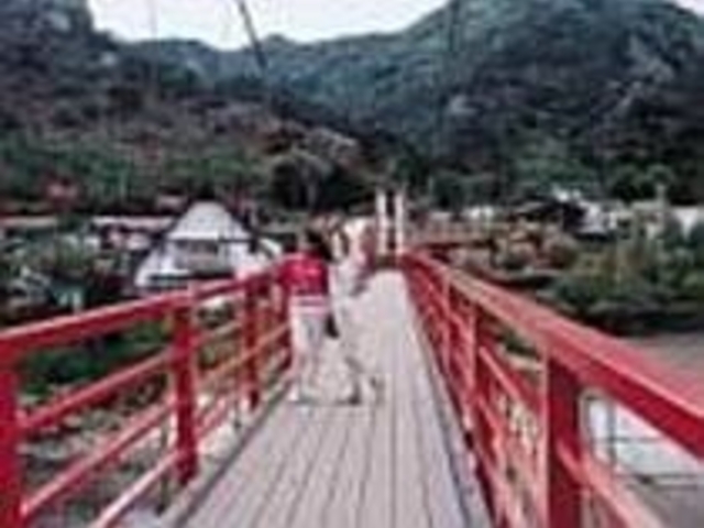 矢祭山のシンボル、「あゆのつり橋」_矢祭山友情の森