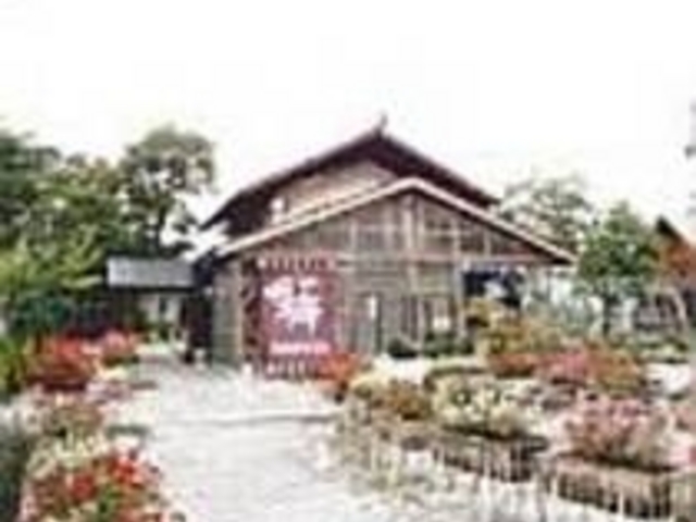 庭に囲まれた雰囲気あふれる店構え_花扇