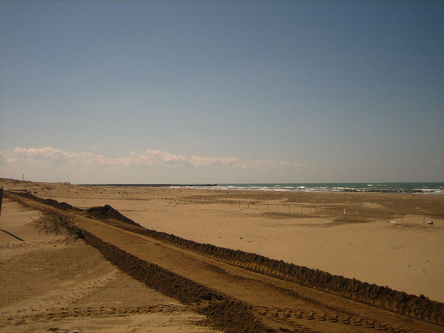 越前浜海水浴場