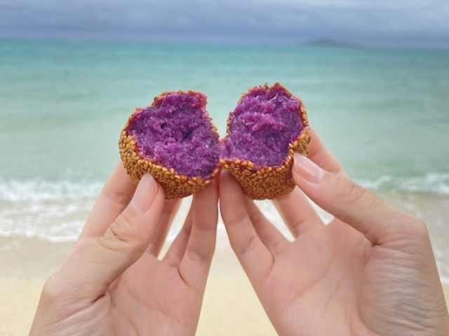 海美来