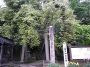 藤波神社の藤の写真2
