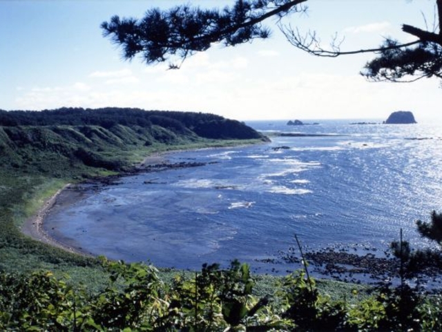 荒崎海岸
