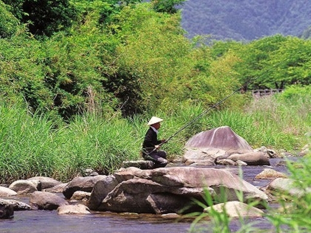 小田原川の写真1