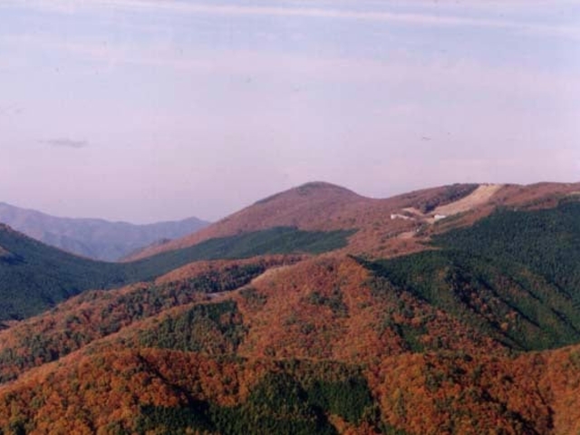 道後山の紅葉の写真1