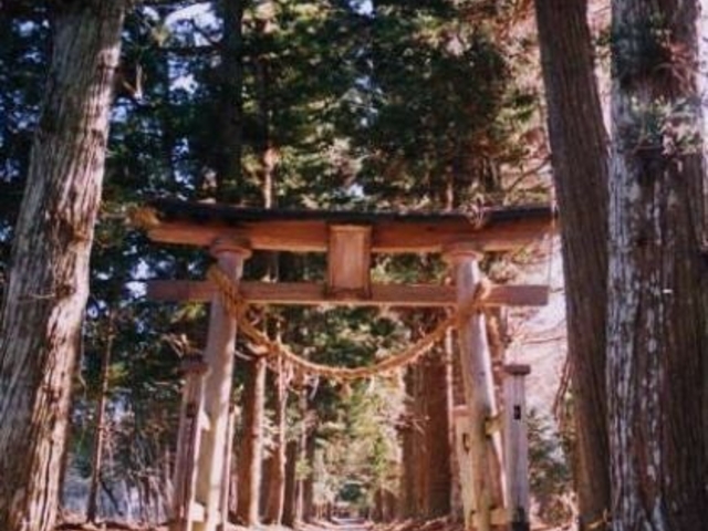 南の八幡神社社叢の写真1