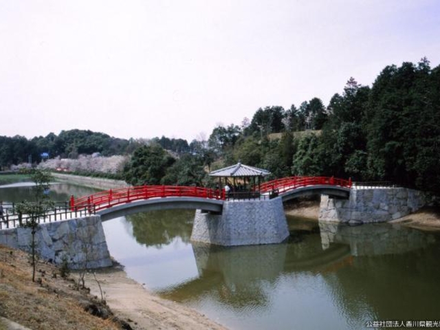 亀鶴公園の桜