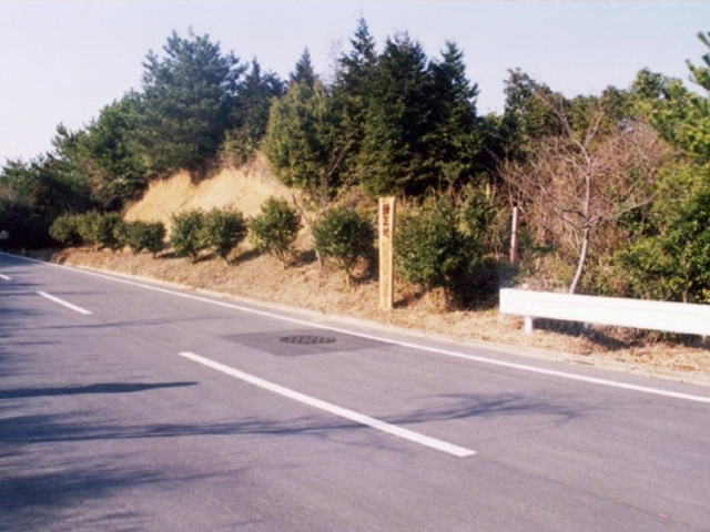 木山弾正 無念坂の写真1