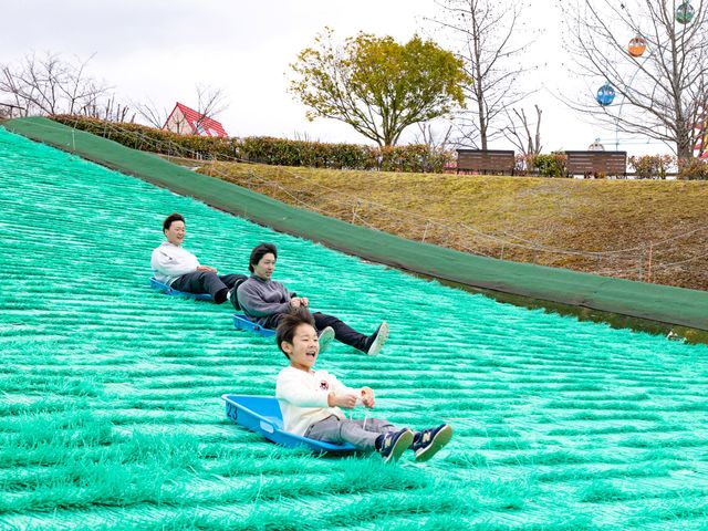 全長40m&最大傾斜20度と日本最大級の芝すべりを体験しよう_堺・緑のミュージアム ハーベストの丘