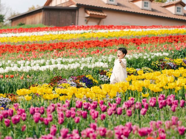 季節の花畑_堺・緑のミュージアム ハーベストの丘