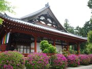久米寺のつつじの写真3