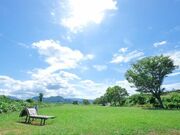 花の里河川公園キャンプ場の写真2
