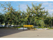 観光農園フルーツランドふのの写真2