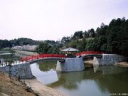 亀鶴公園の桜の写真2