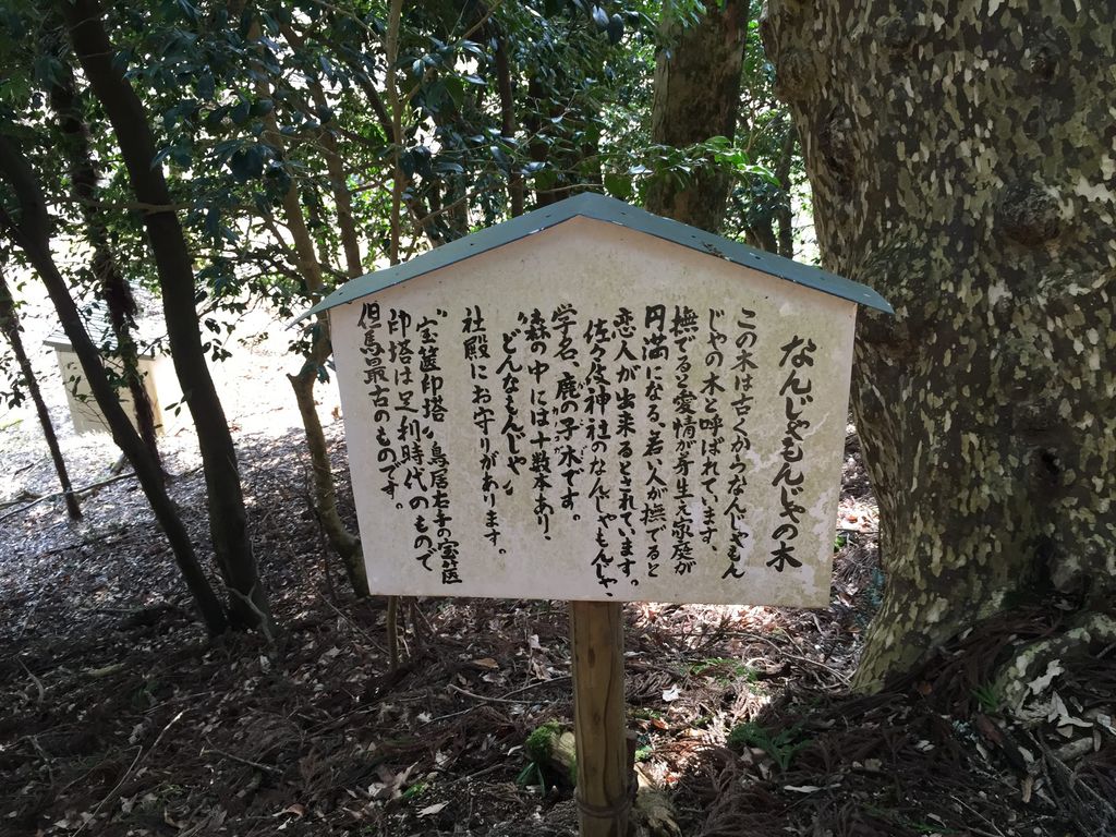 なんじゃもんじゃの木