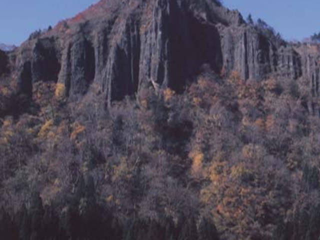 竜馬山の紅葉の写真1