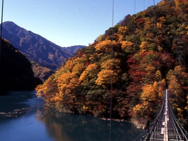 林道井川雨畑線山伏周辺の紅葉