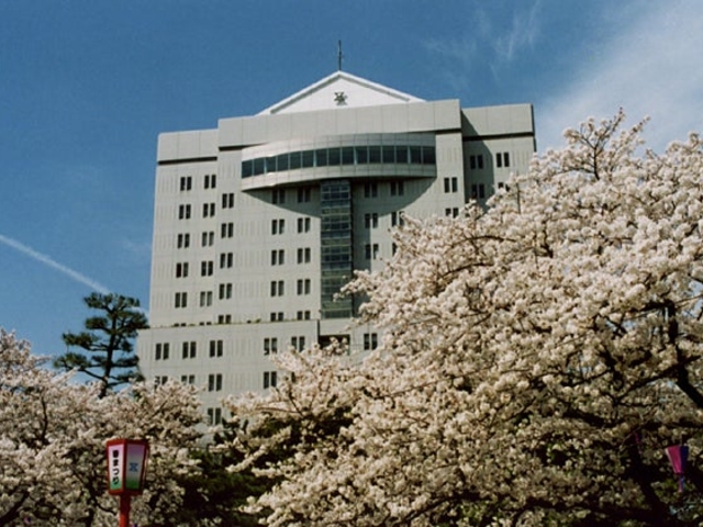 豊橋公園の桜