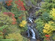 つばくろ谷の紅葉の写真1