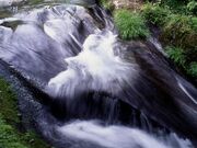 オウ穴群の写真1