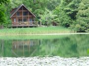 池の山キャンプ場の写真3