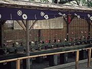 熊本城の肥後六花の写真1