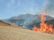 野焼きの写真1