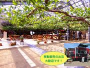 フルーツ童夢やまだ農園の写真2