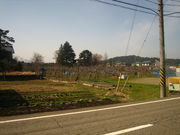 佐藤りんご園の写真3