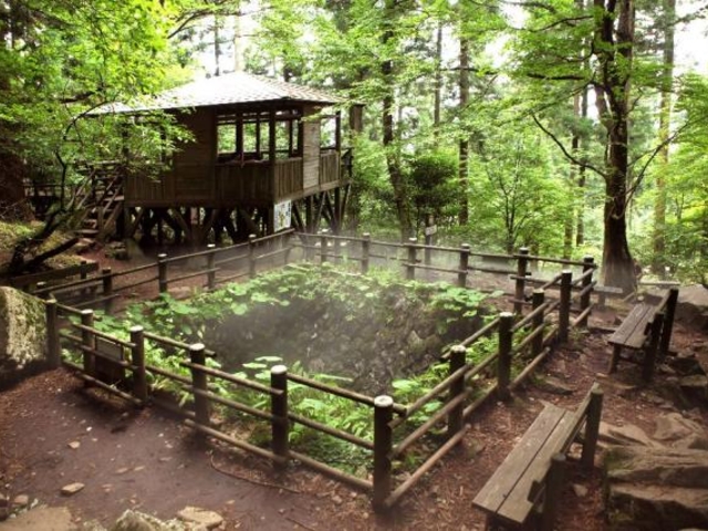 上林森林公園の写真1