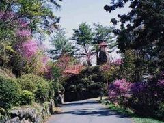 神の倉公園の写真1