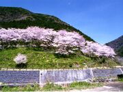 広川ダム公園の写真1