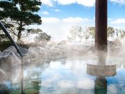 桜花の郷 ラ・フォーレ庄原の写真2