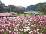 中山池自然公園の写真1