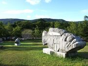 中山池自然公園の写真2