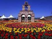 フラワーヒル菊池高原の写真1