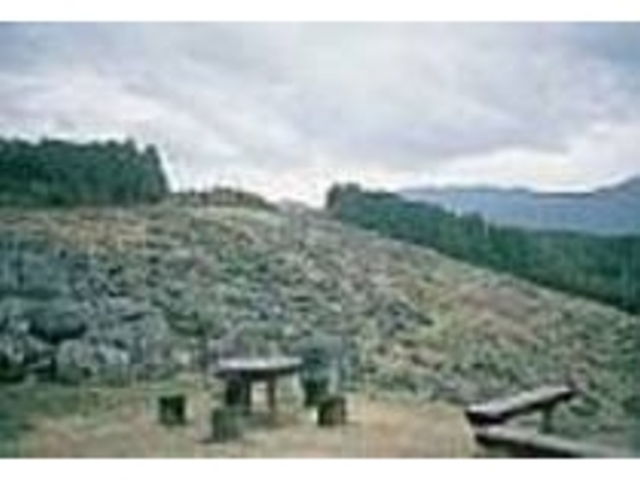 石灰石がぎっしりと並ぶ様子は神秘的だ_佐川ナウマンカルスト