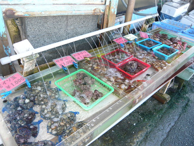 石井商店