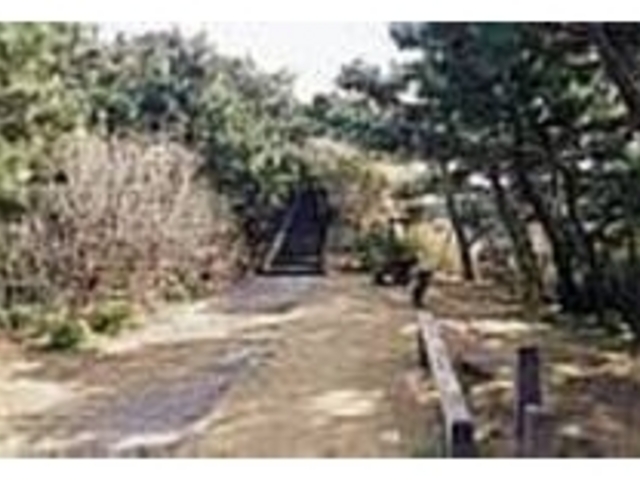 かつてのこの地も頼朝が支配していた_歌舞島公園