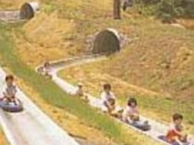 ファミリーから人気のあるボブスレー_金谷山公園