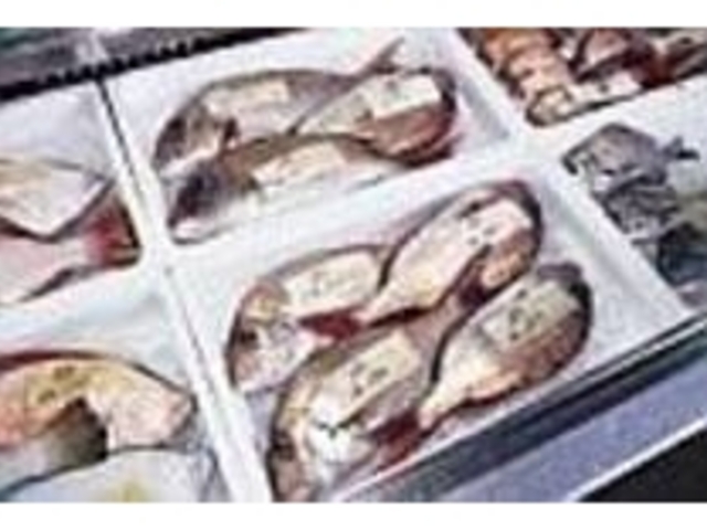 水揚げされたばかりの新鮮な魚が並ぶ_村上市岩船港漁協直売所