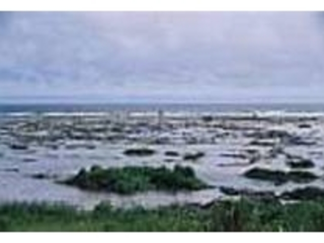 本島南部にある海岸は潮干狩りの人気エリア_米須海岸