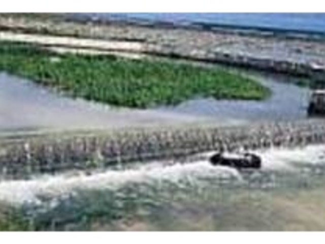 わずか5メートルの川から流れ込む清水_米須海岸