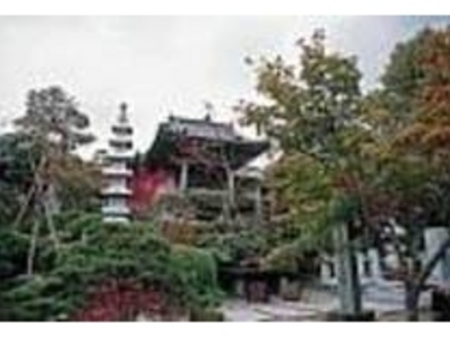 四季折々に美しい境内。じっくり散策したい_称名寺