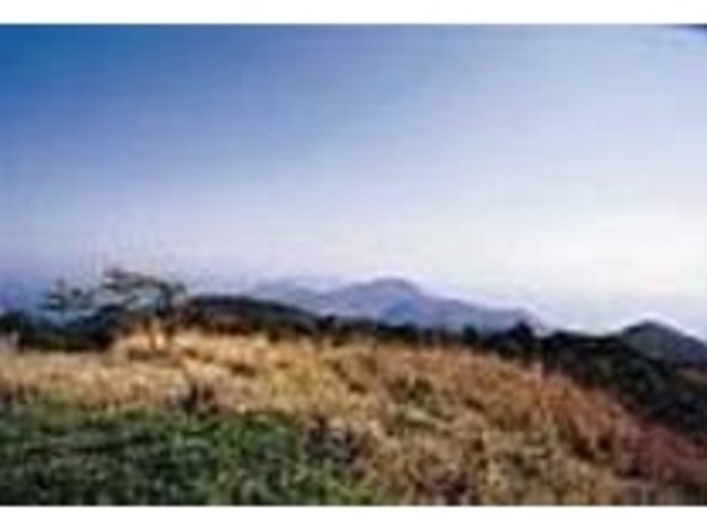 山と海の雄大な自然を満喫できる展望台_番岳園地